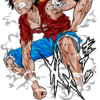 Tee-shirt ONE PIECE