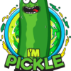 Tee-shirt RICK _ MORTY
