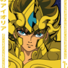 Tee-shirt SAINT SEIYA